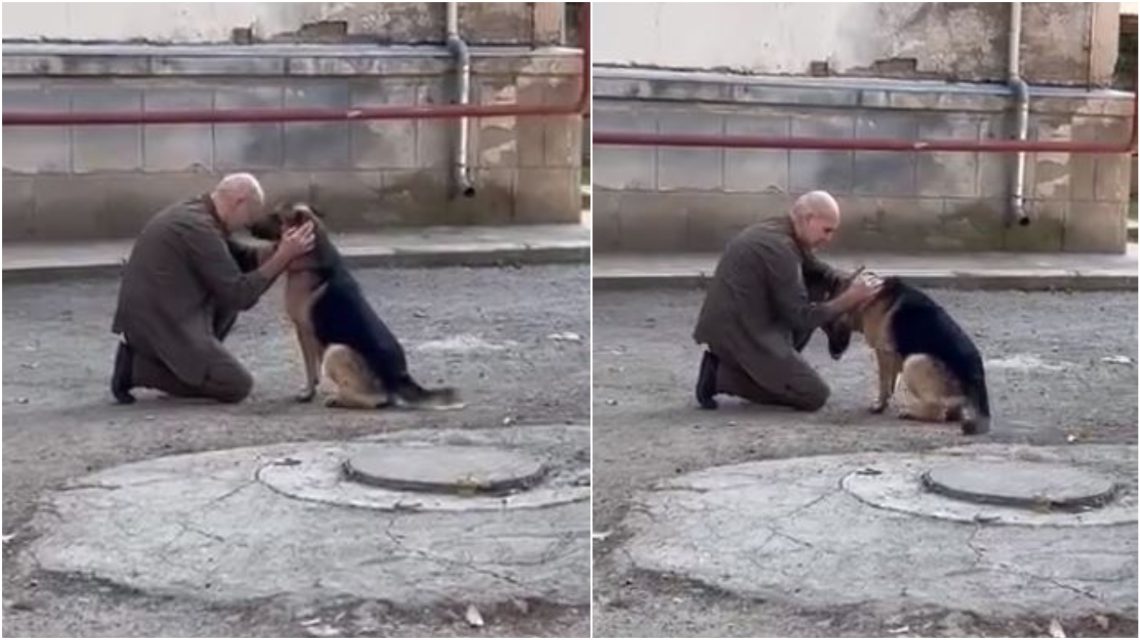 🎥 VIDEO: “ატო დაგვიბრუნდა” – დავით ქაცარავამ თავდასხმისას დაკარგული ძაღლი იპოვა