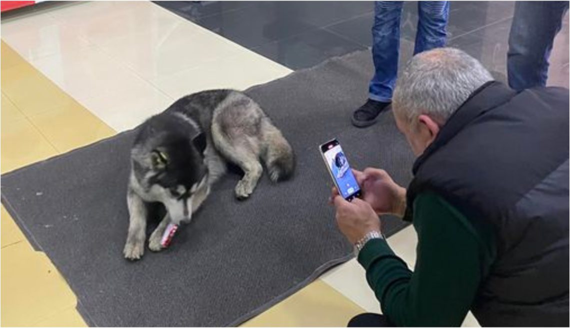 თბილისი მოლში ცუგო შოკოლადის ქურდობაზე გამოიჭირეს – კადრებმა ინტერნეტი მოიცვა