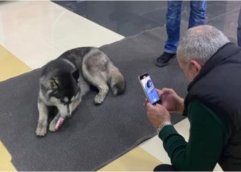 თბილისი მოლში ცუგო შოკოლადის ქურდობაზე გამოიჭირეს – კადრებმა ინტერნეტი მოიცვა