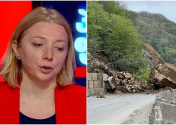 “სად ეტენებოდით ამ მიწის ჩიჩქვნით, ერთი გამაგებინეთ, რა!” – თეა გოდოლაძე განცხადებას ავრცელებს