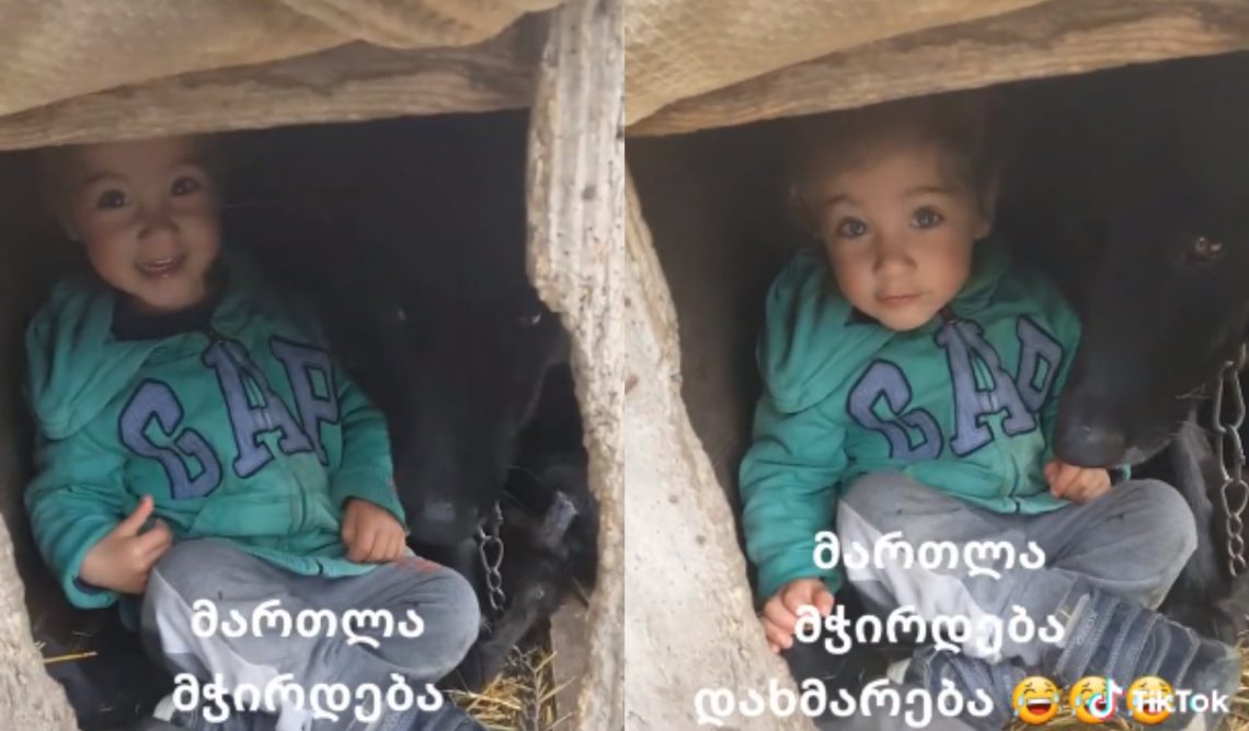 VIDEO: “რამდენჯერ უნდა გამოგიყვანო მანდედან” – სად ემალება პატარა მაშო დედას