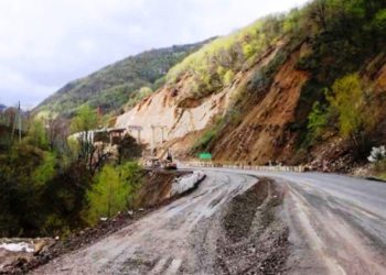 რიკოთის გახსნის თარიღი ცნობილია