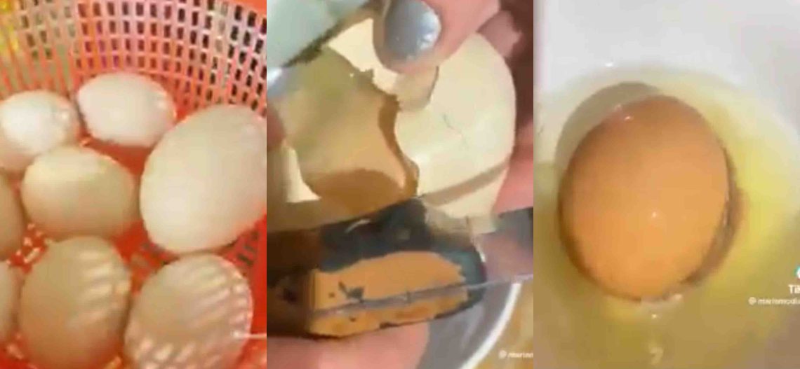 🎥საქართველოში ქათამმა კვერცხი დადო, რომელშიც კიდევ ერთი კვერცხი შიგნით აღმოჩნდა – უნიკალური მოვლენის კადრები