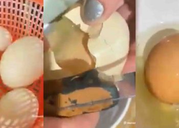 🎥საქართველოში ქათამმა კვერცხი დადო, რომელშიც კიდევ ერთი კვერცხი შიგნით აღმოჩნდა – უნიკალური მოვლენის კადრები