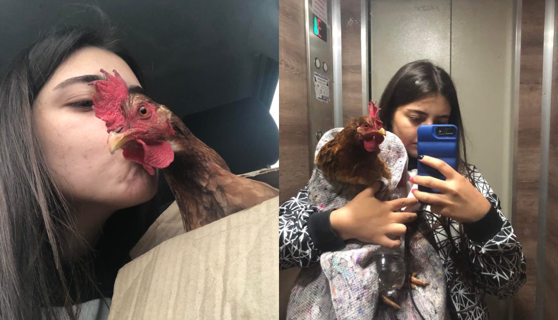 “ჩემმა კოკომ ვერ გადაიტანა პოსტოპერაციული პერიოდი…” – ტატო ლოსაბერიძე სამწუხარო ინფორმაციას ავრცელებს