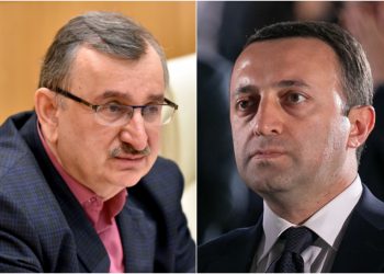 “ვულოცავ მთავრობას უნიკალური ჰიბრიდის თხაცხვარის გამოგონებას” – რას აქვეყნებს რომან გოცირიძე