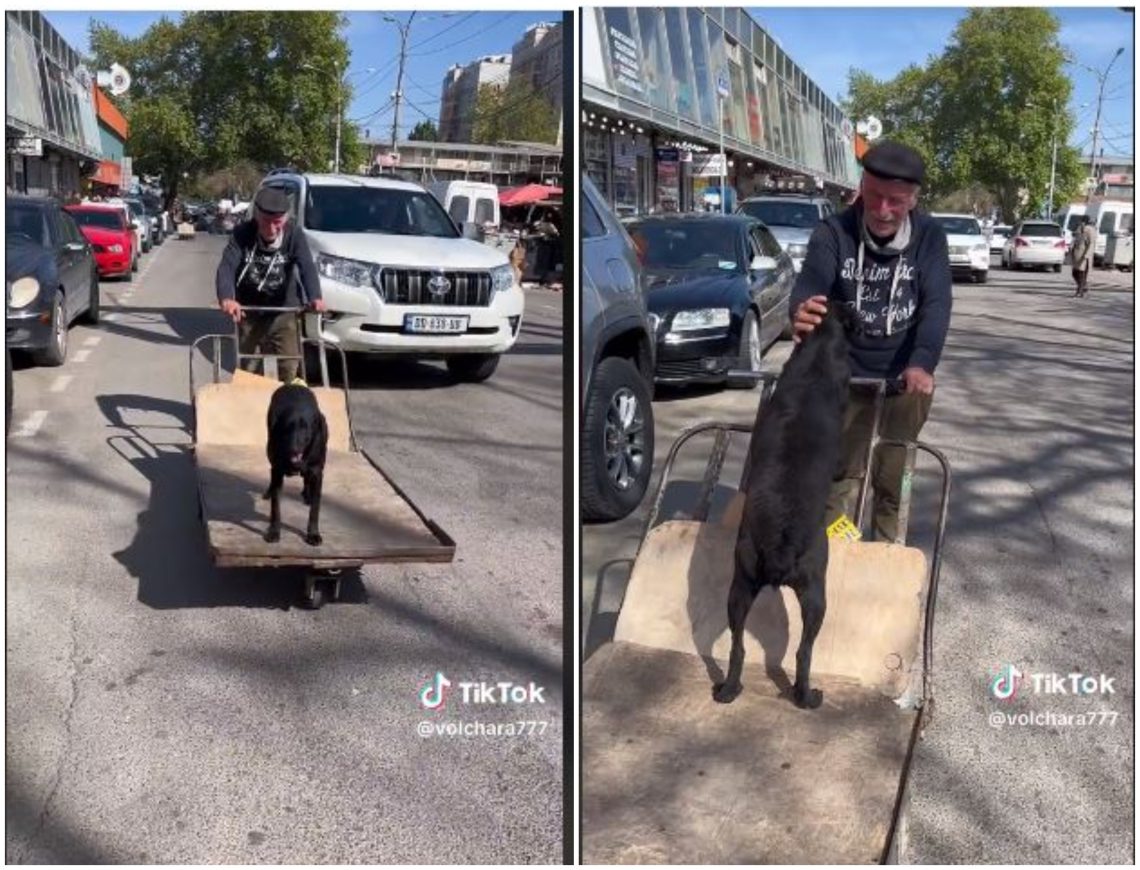 🎥 VIDEO: „მეკაჭკე ბაბუ ოთხფეხა მეგობარს ასეირნებს“ – ვიდეო ნახვების რეკორდს ხსნის