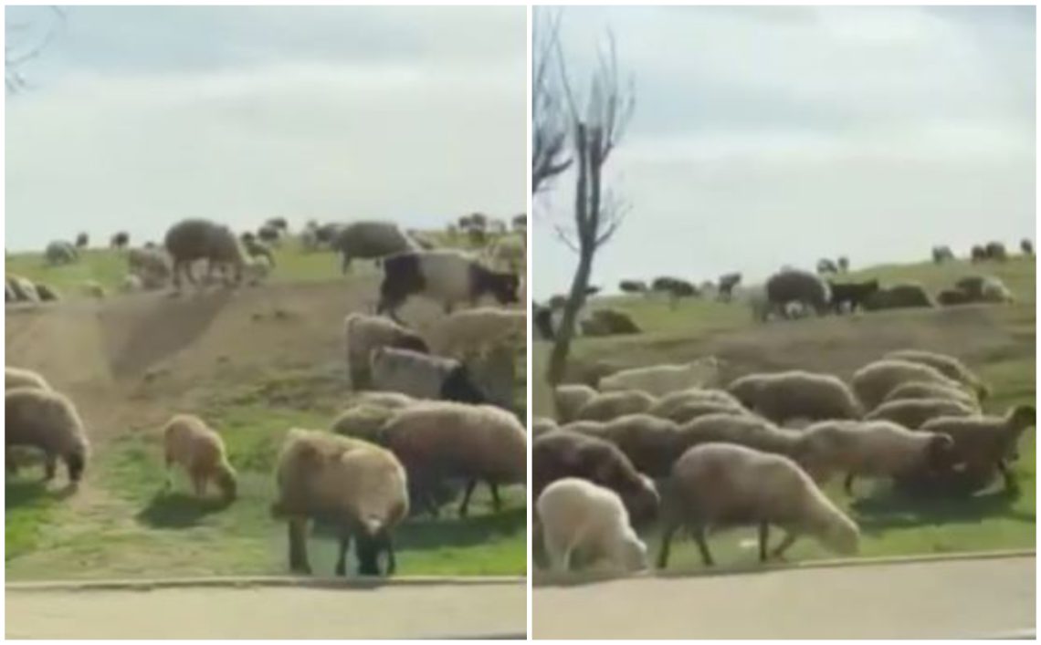 🎥 VIDEO: რა ხდება ამ წუთებში თბილისში – უცნაური კადრები ვარკეთილიდან