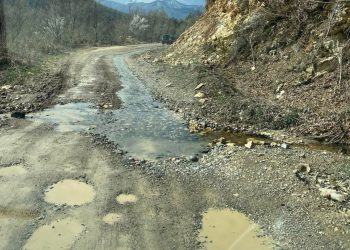 “ეს არის რიკოთის შემოვლითი გზა, აქ კურდღელიც კი ფეხს მოიტეხავს, დავლეწეთ მანქანები”