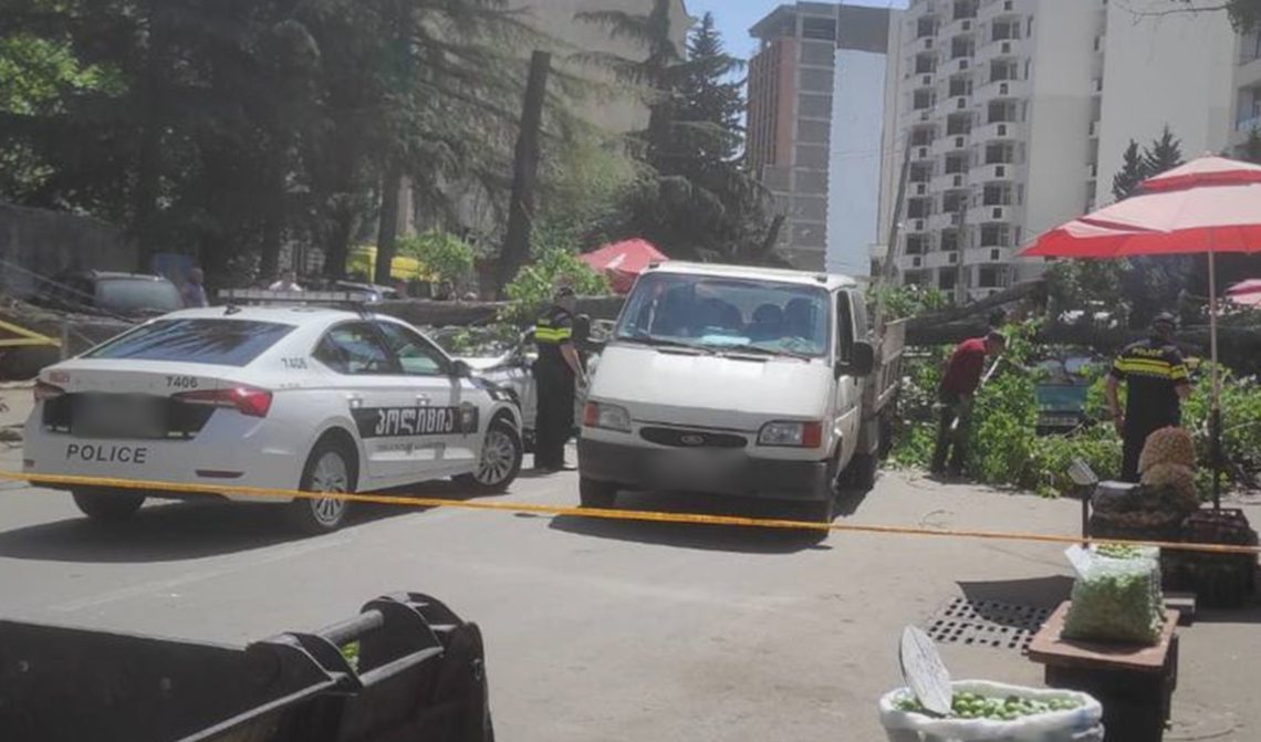 გლდანში ხე წაიქცა – დაზიანებულია ავტომობილი, დაშავდა ერთი ადამიანი