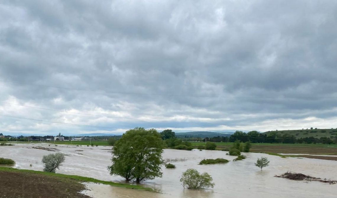 აგარაში ადიდებულმა მდინარემ საძოვრები დატბორა