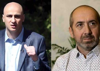 “ტროას ცხენი კი არა – პარლამენტის მელია!” – რას წერს გოჩა მირცხულავა
