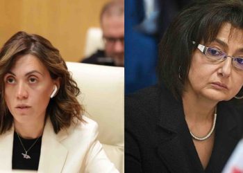 “ჩვენი ბრალია ნატო ჩხეიძემ ოცნების 461 კანონს ხმა რომ მისცა?” – რას აქვეყნებს ანა წითლიძე