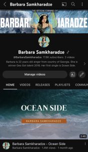 „დღეს YouTube-მა გამაოფიციალურა“ - რას წერს ბარბარა სამხარაძე