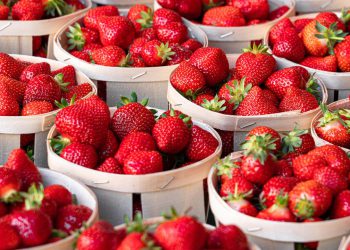 ეს უნდა იცოდეთ – მარწყვი და მისი სასარგებლო თვისებები