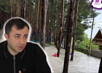 “სურამში ხეები კერძო პირმა ჩააბეტონა” – რა ინფორმაცია ვრცელდება ამბავზე, რომელმაც დიდი აჟიოტაჟი გამოიწვია
