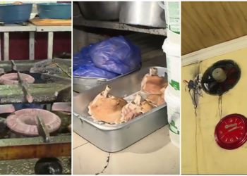 🎥 VIDEO: “აზრად არ მოგსვლიათ, შეიხედოთ, რას გავს თქვენი სამზარეულო?” – “სახალხო კონტროლის” მიერ აღმოჩენილი მორიგი ანტისანიტარიული სამზარეულო ქუთაისის ერთ-ერთ პოპულარულ რესტორანში