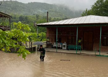 დატბორილი სახლები, განადგურებული ნათესები, ადიდებული რიონი – სტიქია წყალტუბოს სოფელში