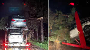 მოგლეჯილი ხეები და დაზიანებული ავტომობილები - უამინდობამ ლაგოდეხში სტიქია გამოიწვია