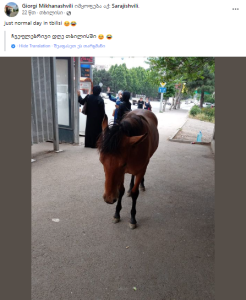 "დაღლილი ცხენიც ტრანსპორტს ელოდება" - რა ფოტო ვრცელდება სარაჯიშვილის მეტროს ტერიტორიიდან