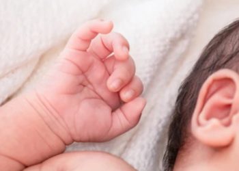 “ვეძებ შვილს და ტესტით ვიპოვე დის შვილი, არც კი გვეგონა, თუ ცოცხალი იყო…” – რა საოცარი ამბავი ვრცელდება ბავშვზე, რომელიც ექიმებმა ჩუმად გაყიდეს