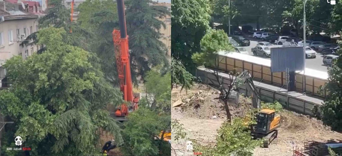 ๐ฅVIDEO: แแแแแ แ แแแแแแ แแกแแแ แฏแแแกแแฆแ แฎแ แจแแแฌแแ แแแ แกแแแจแแแแแแ แแแแแแกแก – แแแฎแแ, แ แ แแแแ แแแ แแ แชแแแแแแ แแแแ-แคแจแแแแแแก แแแแแแ แแแแ