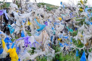 "პირველად ვდგავარ კამერის წინ სირცხვილის განცდით“ - რა ფოტოებს აქვეყნებს ზურა შევარდნაძე?