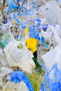 "პირველად ვდგავარ კამერის წინ სირცხვილის განცდით“ - რა ფოტოებს აქვეყნებს ზურა შევარდნაძე?