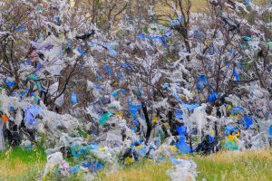 "პირველად ვდგავარ კამერის წინ სირცხვილის განცდით“ - რა ფოტოებს აქვეყნებს ზურა შევარდნაძე?