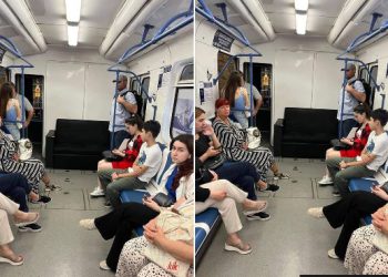 📷 PHOTO: ჩადგმული დივანი მატარებლის ვაგონში – რა ფოტო ვრცელდება თბილისის მეტროდან