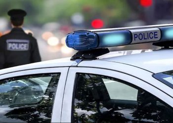 საბერძნეთში დააკავეს ქართველი, რომელმაც 37 ქურდობა ჩაიდინა