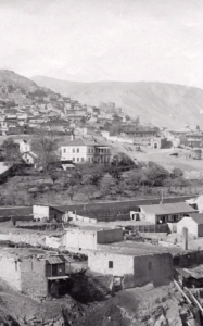 თბილისის ბოტანიკური ბაღი მუსლიმთა სასაფლაოზეა გაშენებული - დედაქალაქის ყველაზე ეგზოტიკური ადგილის საიდუმლოება