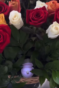 შორენა ბეგაშვილს ხელი სთხოვეს? - ნახეთ ბრილიანტის ბეჭედი რომელიც ვარსკვლავს მიართვეს