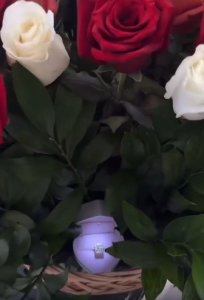 შორენა ბეგაშვილს ხელი სთხოვეს? - ნახეთ ბრილიანტის ბეჭედი რომელიც ვარსკვლავს მიართვეს