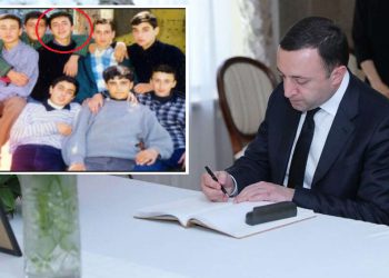 რა განათლება აქვს მიღებული ირაკლი ღარიბაშვილს?