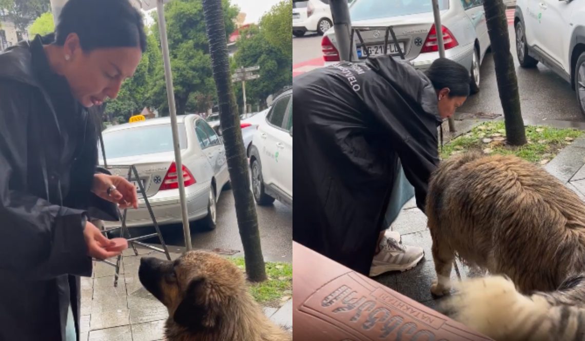 🎥 ლელა წურწუმიას უანგარო სიყვარული ცხოველების მიმართ – ნახეთ როგორ დააპურა მომღერალმა მიუსაფარი ძაღლი