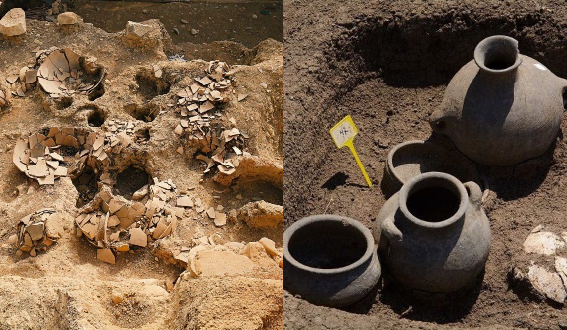 მსოფლიო მნიშვნელობის 4 აღმოჩენა საქართველოში