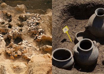 მსოფლიო მნიშვნელობის 4 აღმოჩენა საქართველოში