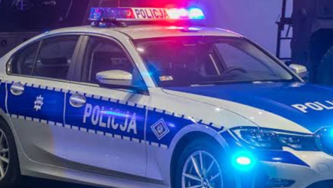 ავტოსაგზაო შემთხვევა პოლონეთში – დაკავებულია 19 წლის ქართველი ბიჭი