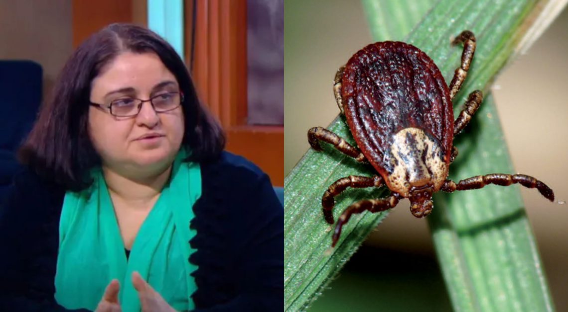 როგორ უნდა მოვიქცეთ, თუ ტკიპა გვიკბენს? – ინფექციონისტის რჩევები