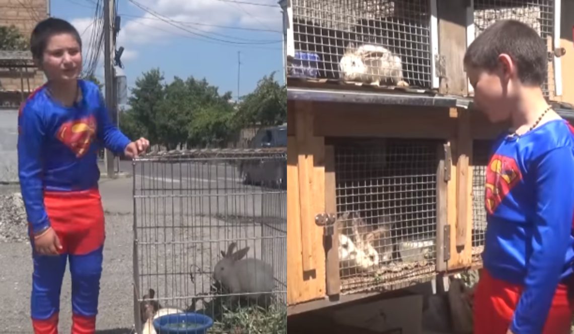 🎥 8 წლის გორელი ფერმერი, რომელსაც კულდღლები ჰყავს მოშენებული და ახლა მათი რეალიზაციით არის დაკავებული