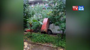 მოგლეჯილი ხეები და დაზიანებული მანქანები - სტიქია ბათუმში