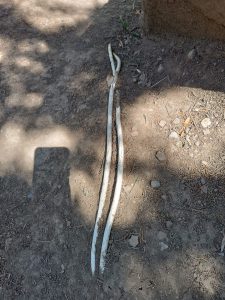 "ბავშვები ეხებიან მიწაში ჩამარხულ კაბელს,რომელსაც ელექტროიზილაცია უკვე დაზიანებული აქვს“ - რა ინფორმაცია ვრცელდება სოციალურ ქსელში