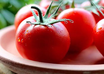 საქართველოში პომიდორი გაძვირდა – მიზეზები