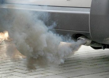 🎥 VIDEO: “ჩვენი კანონი მიიღეს” – რა ინფორმაცია ვრცელდება სოციალურ ქსელში