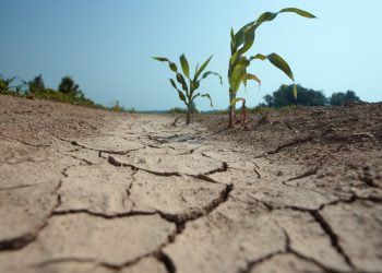 „მსოფლიოს გვალვა ემუქრება“ – გაეროს მსოფლიო მეტეოროლოგიური ორგანიზაცია
