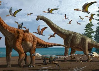 ადამიანთა შორეული წინაპარი დინოზავრების მკვლელ ასტეროიდს გადაურჩა — ახალი კვლევა