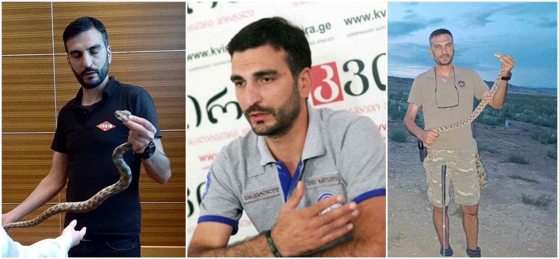 ქვეყნის რომელ ნაწილში გვხვდება გიურზა და როგორ მოვიქცეთ მისი დაგესვლის შემთხვევაში? – რას ამბობს შოთა ზანდუკელი