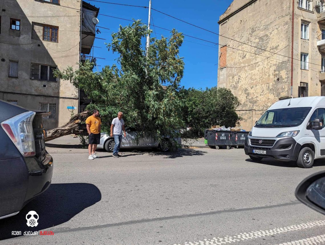 თბილისში, ძლიერი ქარის შედეგად, ხე წაიქცა, რომელიც ავტომობილს დაეცა