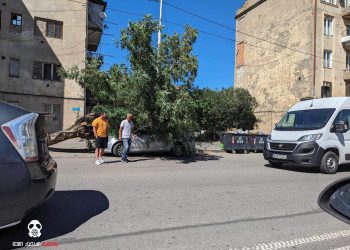 თბილისში, ძლიერი ქარის შედეგად, ხე წაიქცა, რომელიც ავტომობილს დაეცა